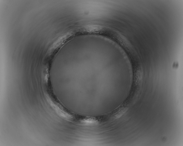 X0000112530644200908311423