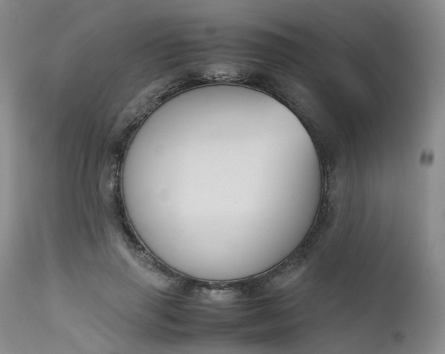 X0000112530645200908311423