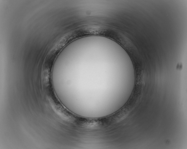 X0000112530646200908311423