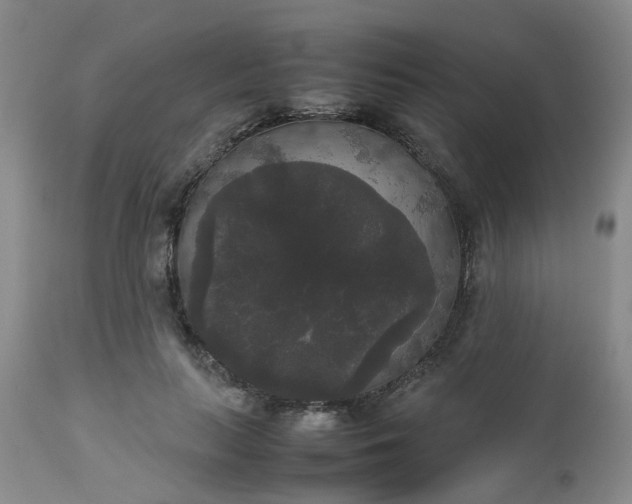 X0000112530647200908311423