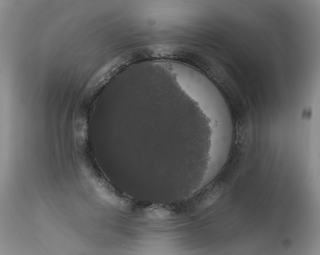 X0000112530648200908311423