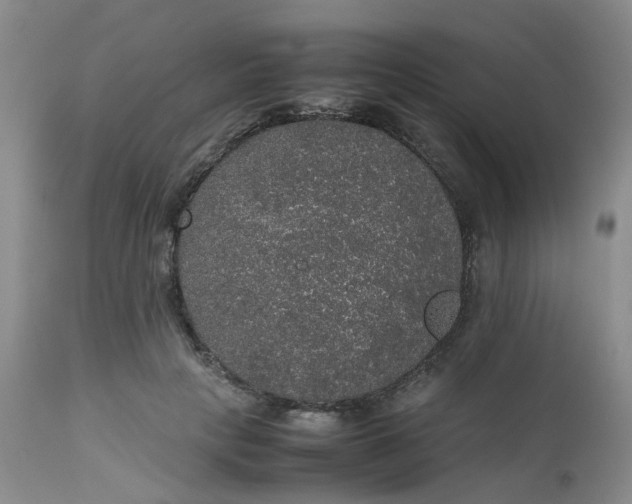X0000112530649200908311423