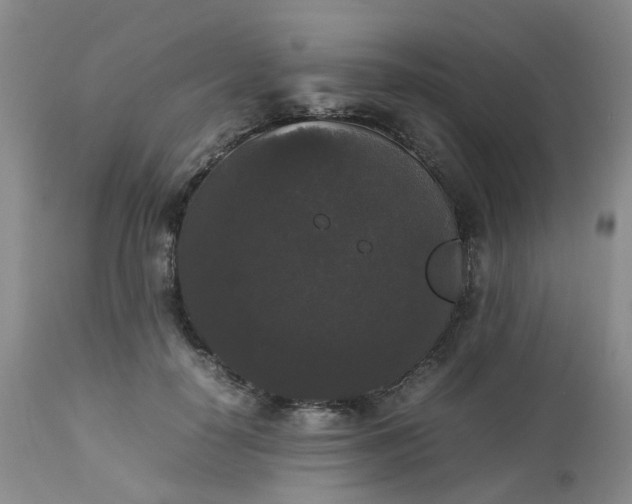X0000112530650200908311423