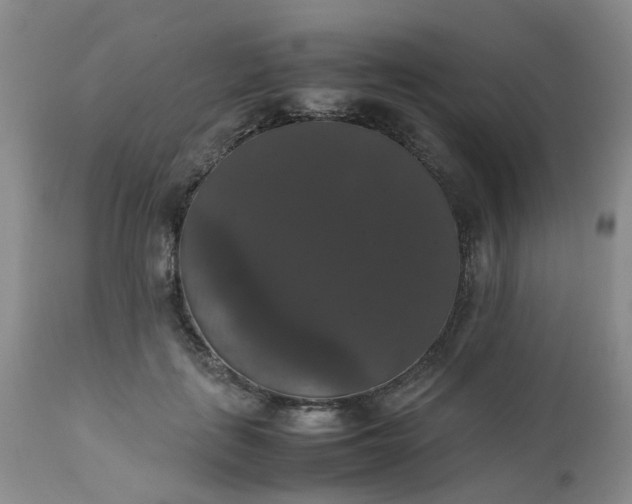 X0000112530651200908311423
