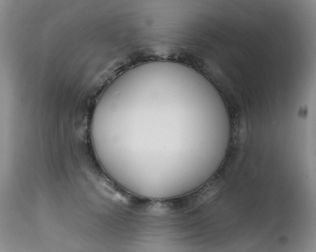 X0000112530656200908311424