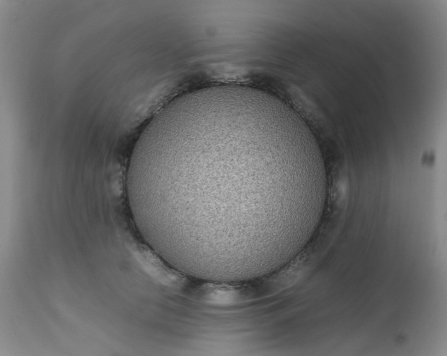X0000112530658200908311424