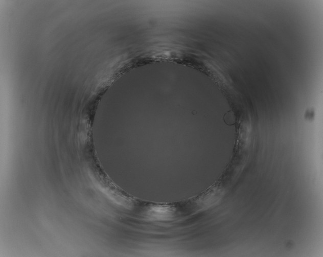 X0000112530659200908311424