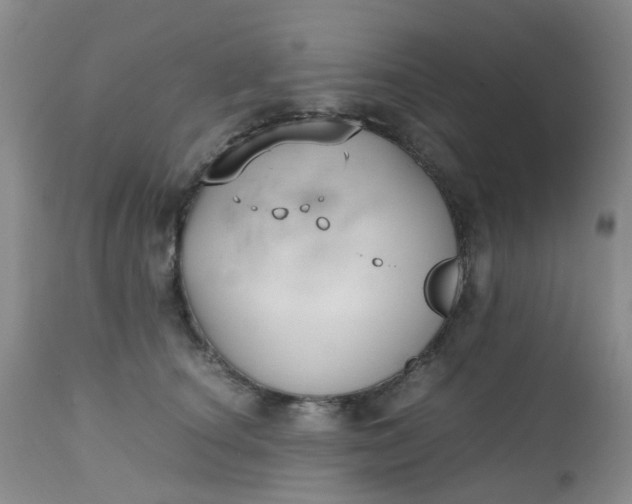 X0000112530660200908311424