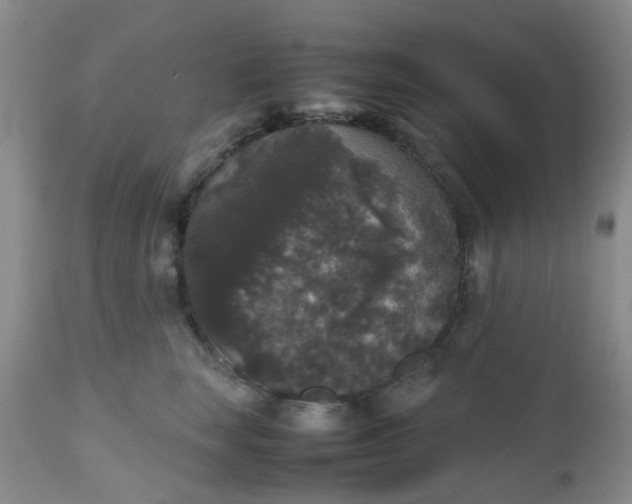 X0000112530663200908311424