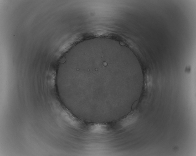 X0000112530664200908311424