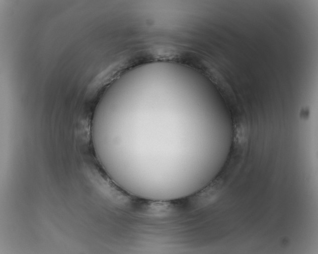 X0000112530666200908311424