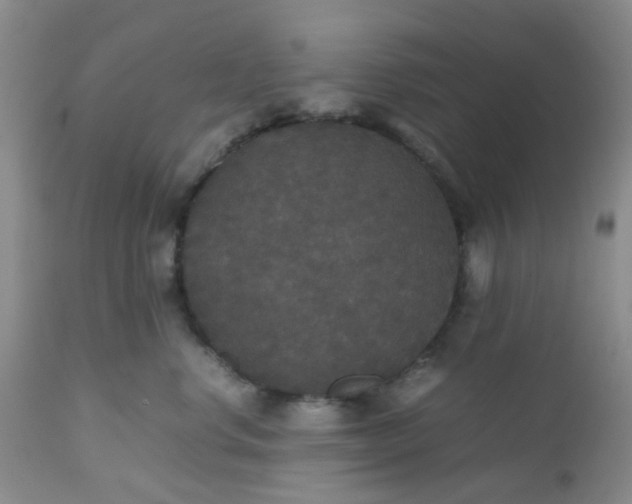 X0000112530668200908311424