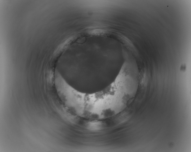 X0000112530669200908311424