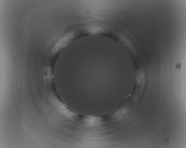 X0000112530670200908311424