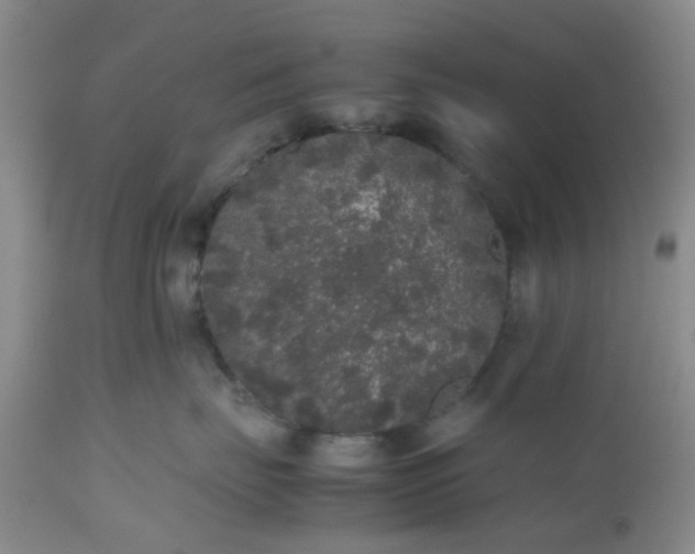 X0000112530671200908311424