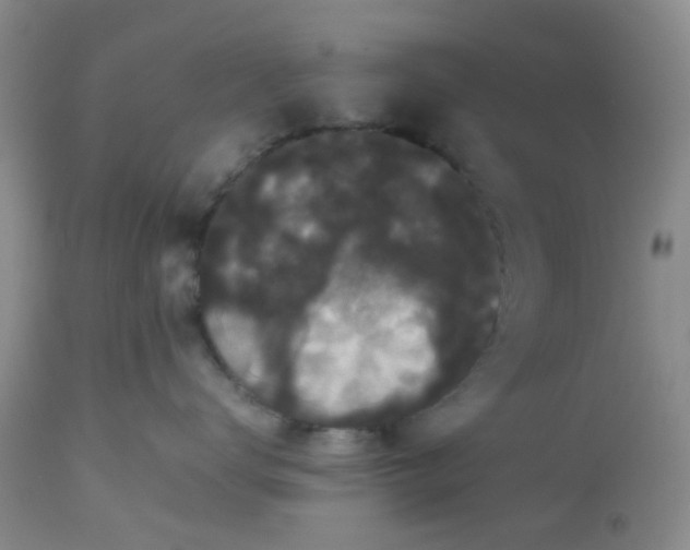 X0000112530672200908311424