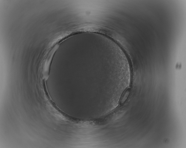 X0000112530673200908311423