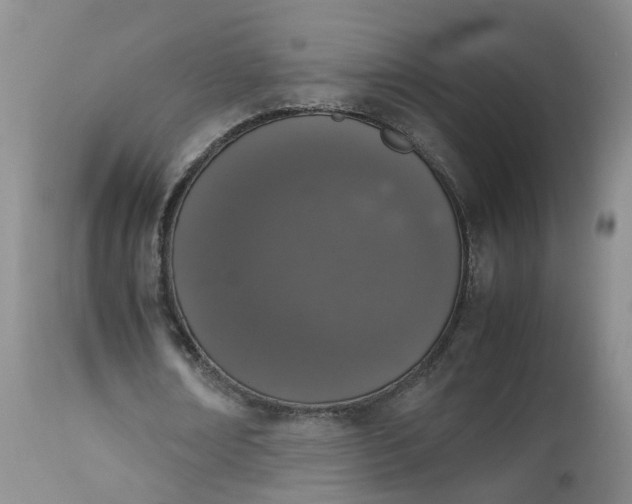 X0000112530674200908311423