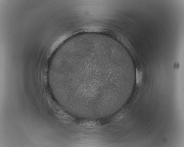 X0000112530675200908311423