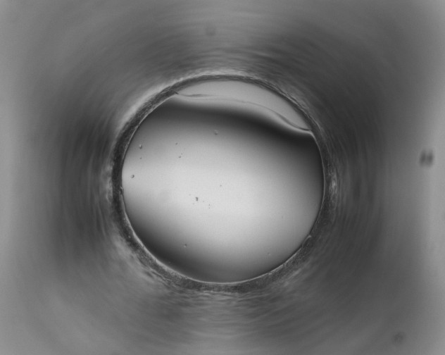 X0000112530676200908311423