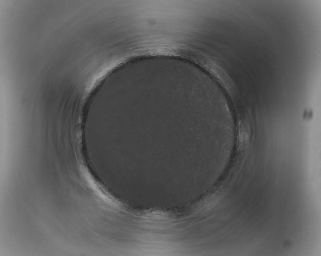 X0000112530677200908311423