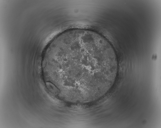 X0000112530679200908311423