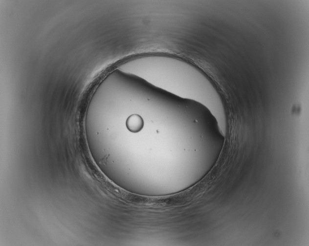 X0000112530680200908311423