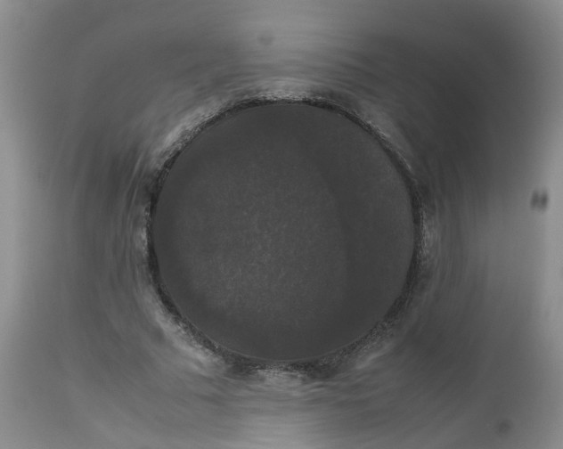 X0000112530681200908311423