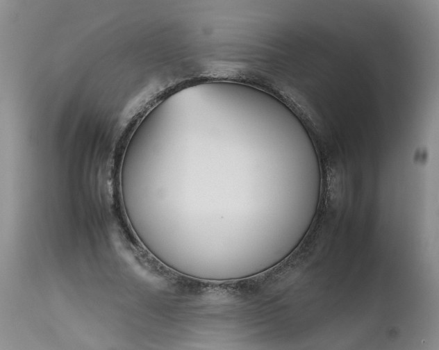 X0000112530682200908311423
