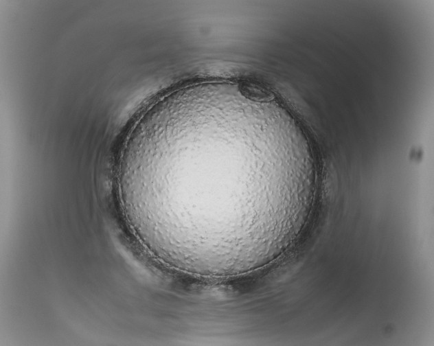 X0000112530683200908311423
