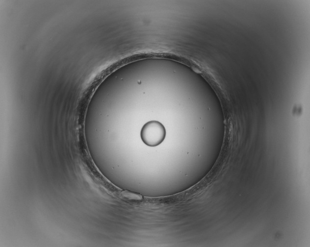 X0000112530684200908311423