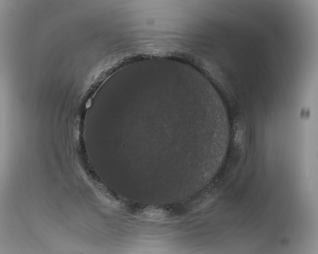 X0000112530685200908311423