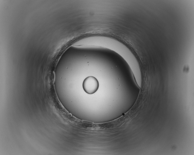X0000112530688200908311423