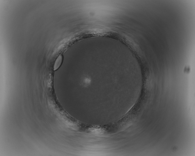 X0000112530689200908311423