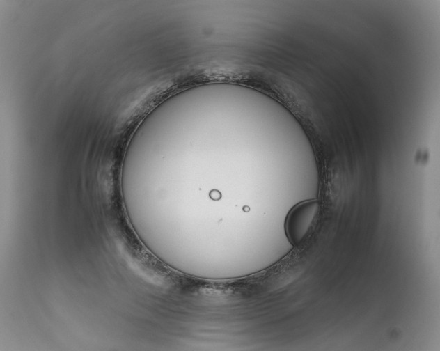 X0000112530690200908311423