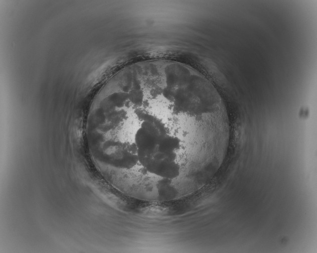 X0000112530691200908311423