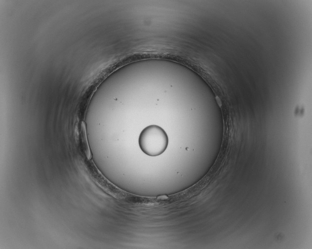 X0000112530692200908311423