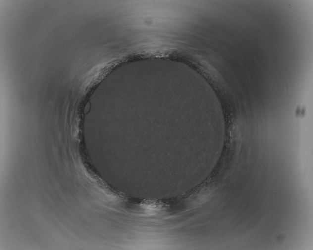 X0000112530693200908311423
