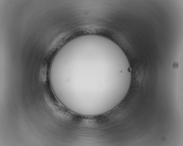 X0000112530694200908311423