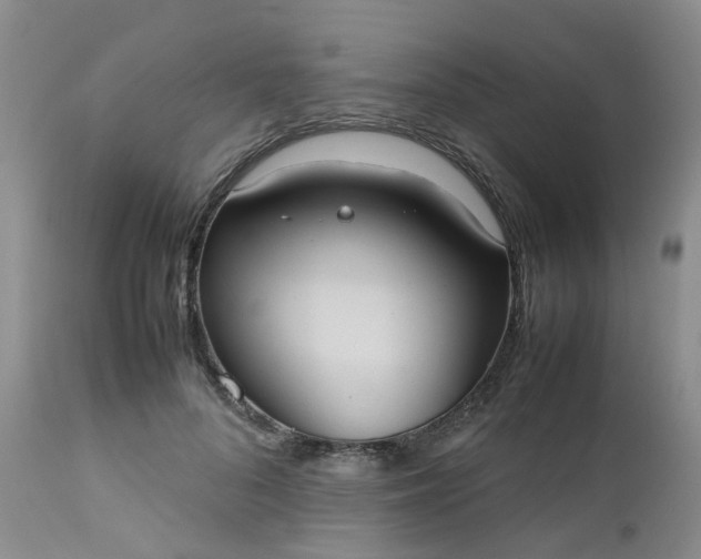 X0000112530696200908311423