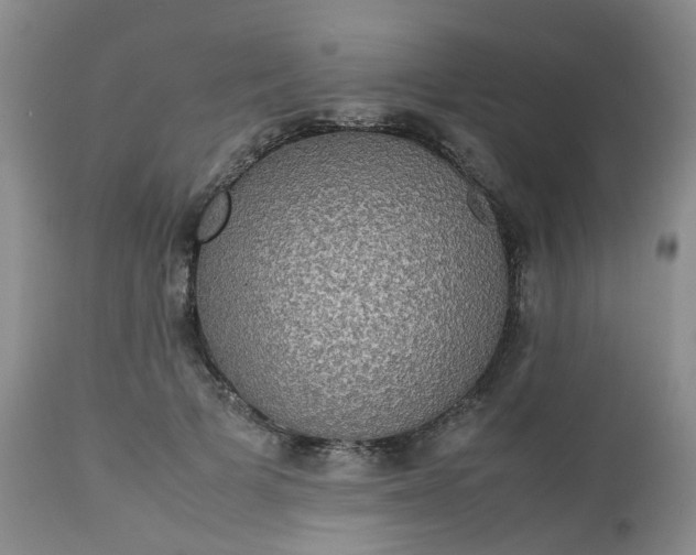 X0000112530697200908311423
