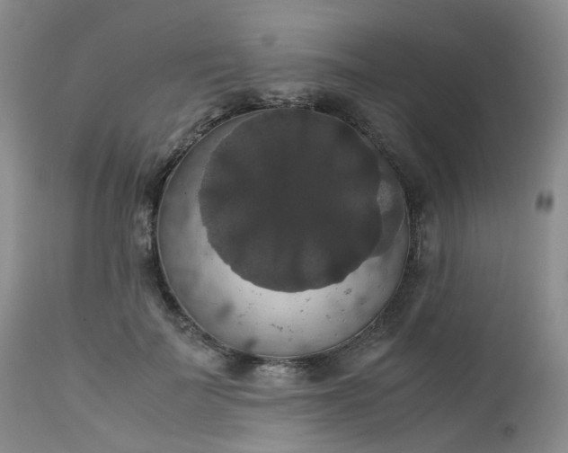 X0000112530699200908311423