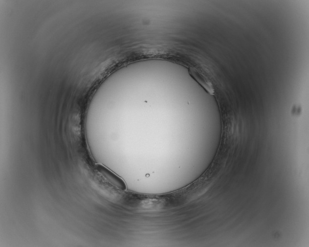 X0000112530700200908311423