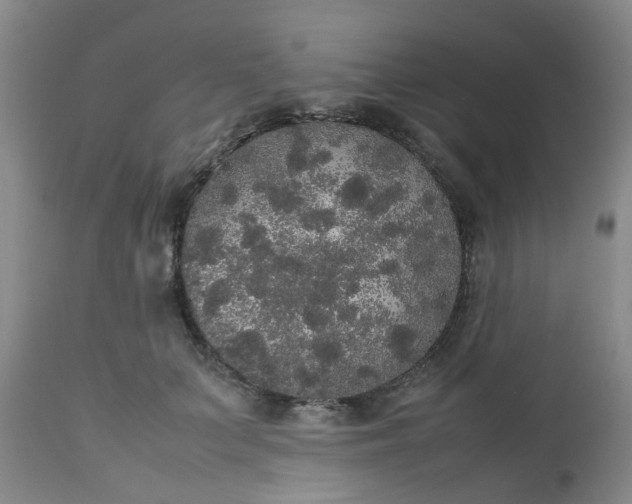 X0000112530703200908311423