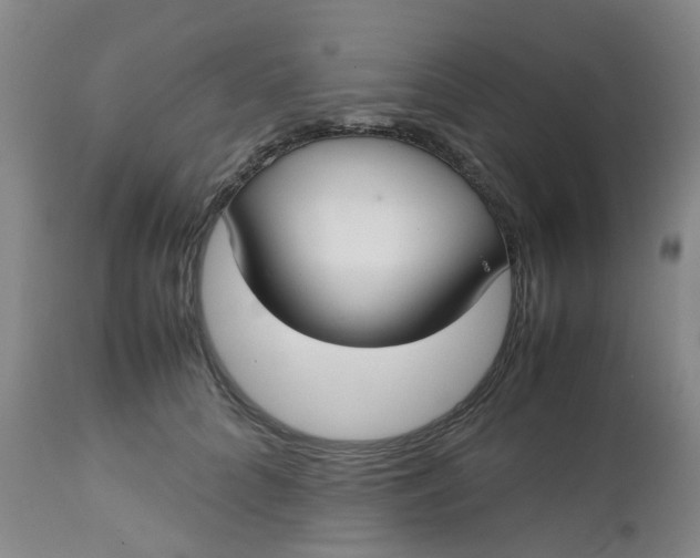 X0000112530704200908311423