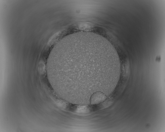 X0000112530705200908311423
