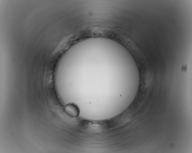 X0000112530706200908311423