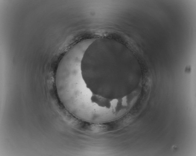 X0000112530707200908311423