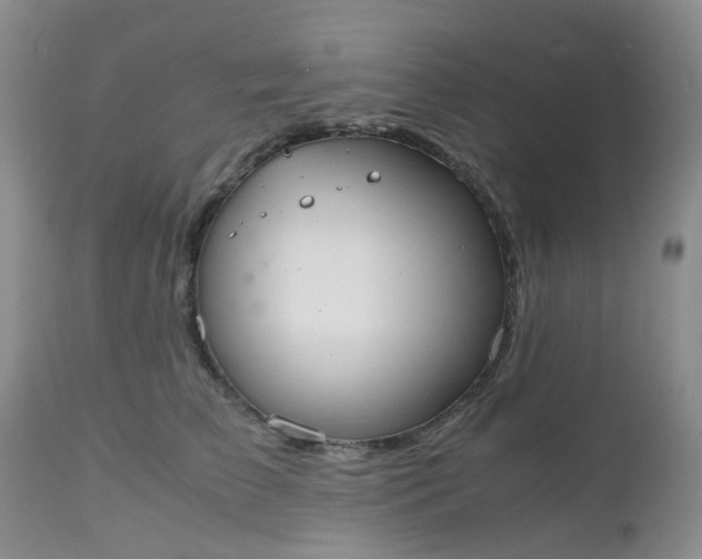 X0000112530709200908311423
