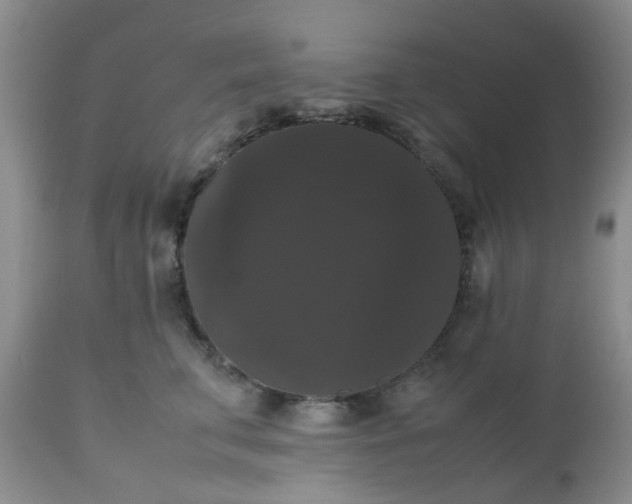 X0000112530711200908311423
